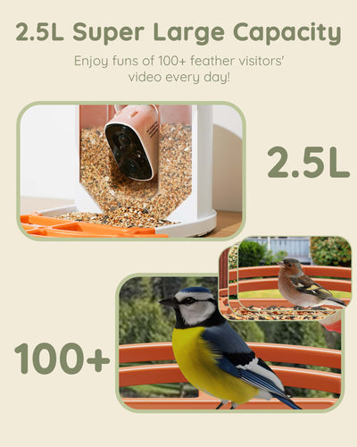 Hiseeu Bird Feeder with Camera, 2.5L Large Capacity, AI Identify 11000+ Birds Species, Solar Powered, Auto Capture Bird Videos & Motion Detection, Smart Bird Watching Camera Wireless Outdoor