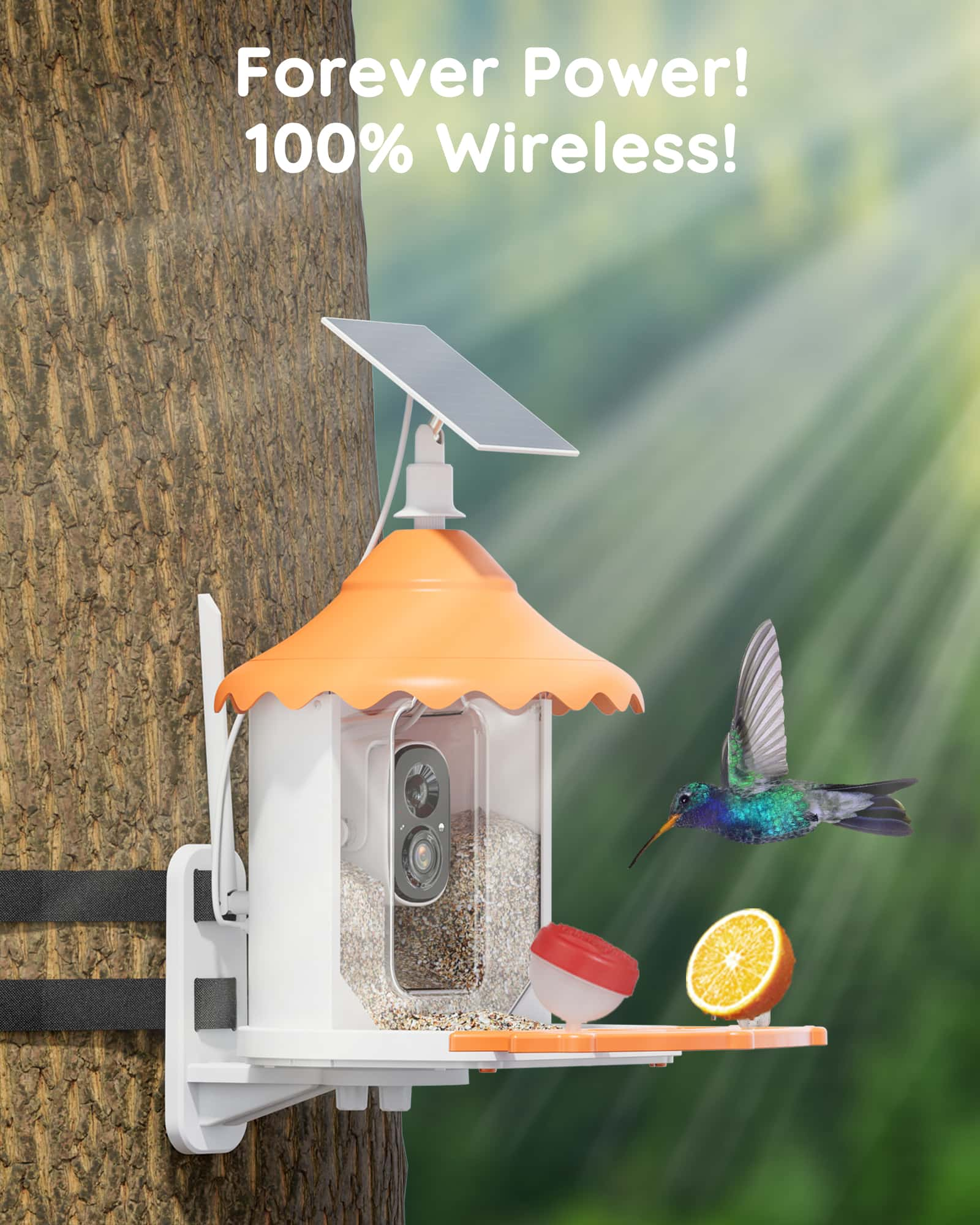 2K 3MP Bird Feeder with IP66 Waterproof Camera, 2.5L Large Capacity,AI Identify 11000+ Birds Species