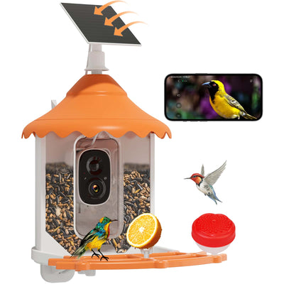 Hiseeu Bird Feeder with Camera, 2.5L Large Capacity, AI Identify 11000+ Birds Species, Solar Powered, Auto Capture Bird Videos & Motion Detection, Smart Bird Watching Camera Wireless Outdoor