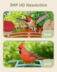 2K 3MP Bird Feeder with IP66 Waterproof Camera, 2.5L Large Capacity,AI Identify 11000+ Birds Species